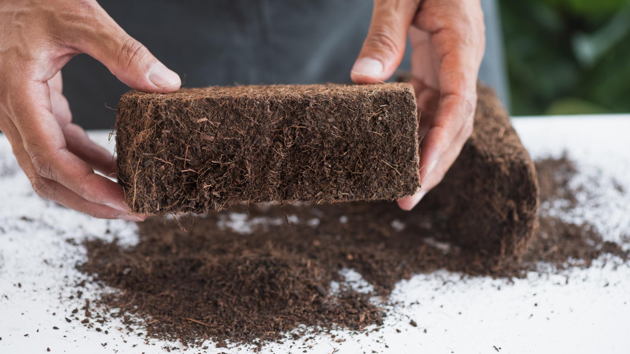 Coco coir bricks